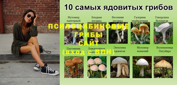 мяу мяу кристалл Алексеевка