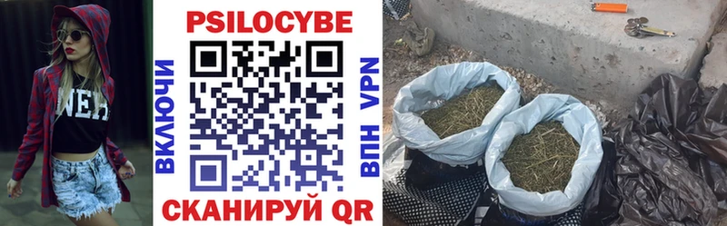 Галлюциногенные грибы MAGIC MUSHROOMS  магазин  наркотиков  Любим 